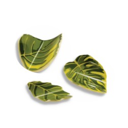 Feuilles en vertes en chocolat blanc, décoration pâtissière /Manudecors