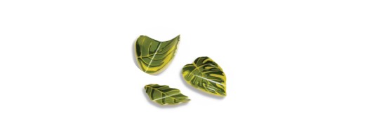 Feuilles en vertes en chocolat blanc, décoration pâtissière /Manudecors