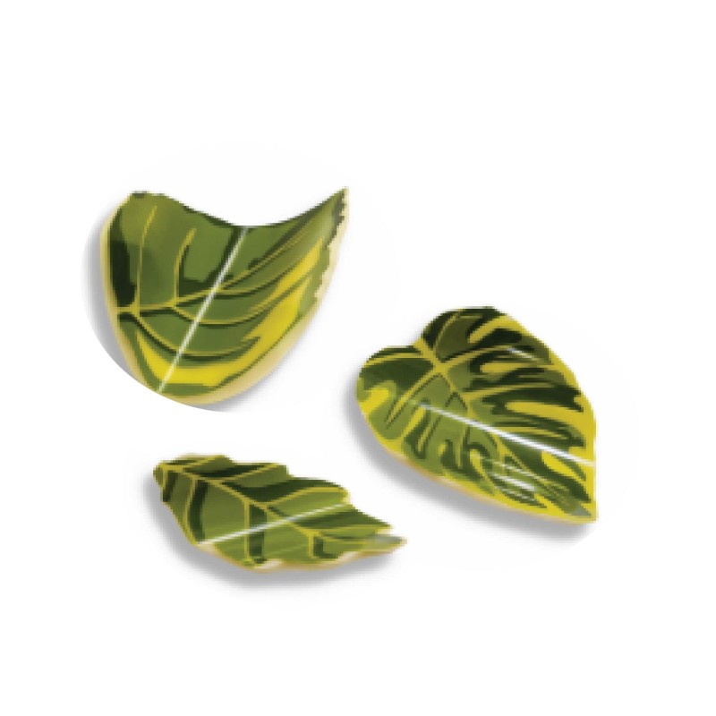 Feuilles en vertes en chocolat blanc, décoration pâtissière /Manudecors