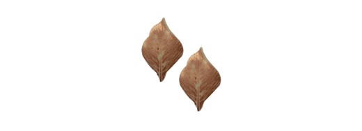 pastilles chocolat décors feuilles cuivrée/ Manudecors