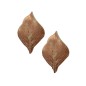 Feuilles cuivre