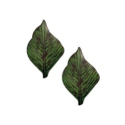 Décors feuilles vertes en chocolat /Manudecors