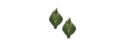decors alimentaire en chocolat feuilles vertes