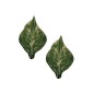 Feuilles vertes petit modèle Feuilles vertes petit modèle