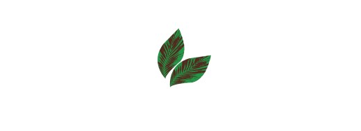 plaquette decors chocolat feuilles vertes /Manudecors