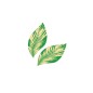 Feuilles  vertes mini