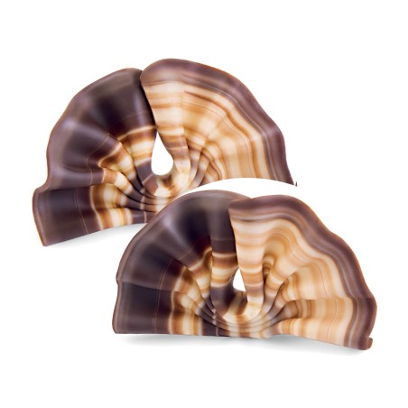 Décors éventail en chocolat /Manudecors