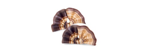 Décors éventail en chocolat /Manudecors