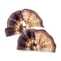 Eventails duo  en chocolat