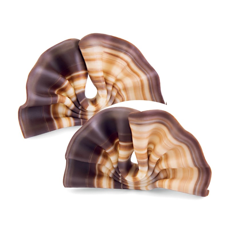 Décors éventail en chocolat /Manudecors