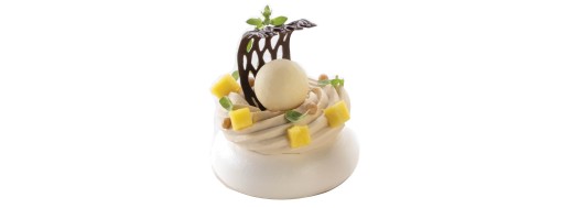 Décors en chocolat pour les professionnels patissiers et restaurateurs