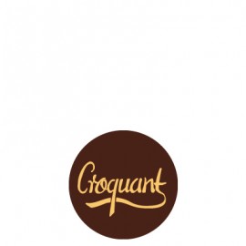 plaquette décors chocolat fruit