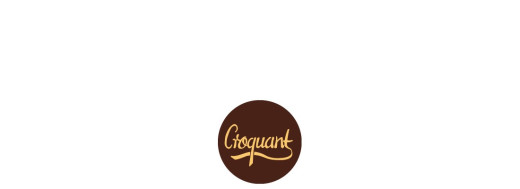 plaquette décors chocolat fruit
