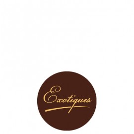 plaquette décors chocolat fruit
