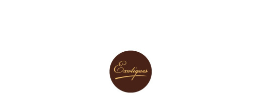 plaquette décors chocolat fruit
