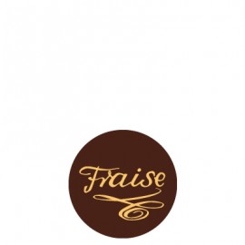 plaquette décors chocolat fruit