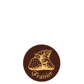 plaquette décors chocolat fruit