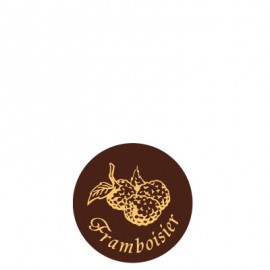 plaquette décors chocolat fruit