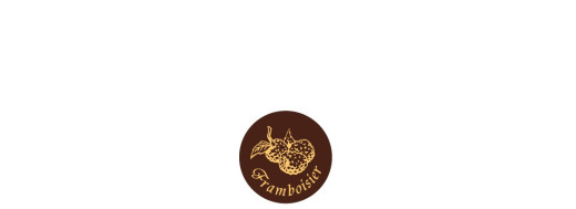 plaquette décors chocolat fruit