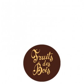 plaquette décors chocolat fruit