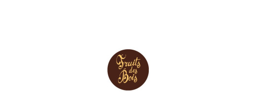 plaquette décors chocolat fruit