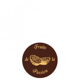 plaquette décors chocolat fruit