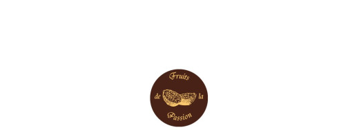 plaquette décors chocolat fruit