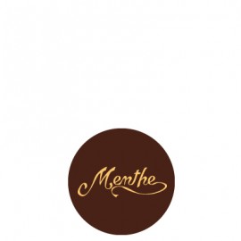 plaquette décors chocolat fruit