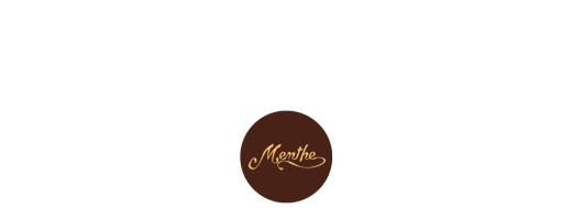 plaquette décors chocolat fruit