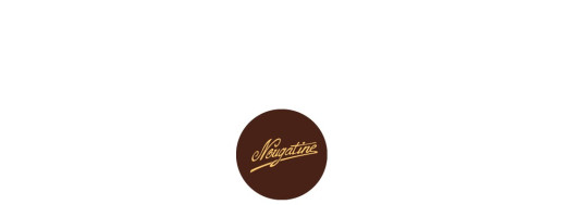 plaquette décors chocolat fruit