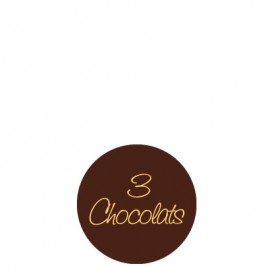 plaquette décors chocolat fruit