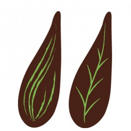 feuilles chocolat