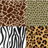 Animal 36x25